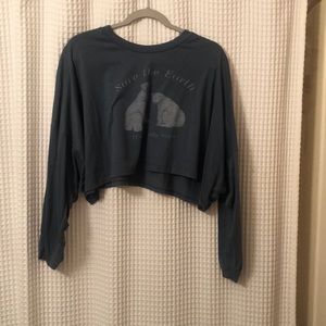 american eagle crop top